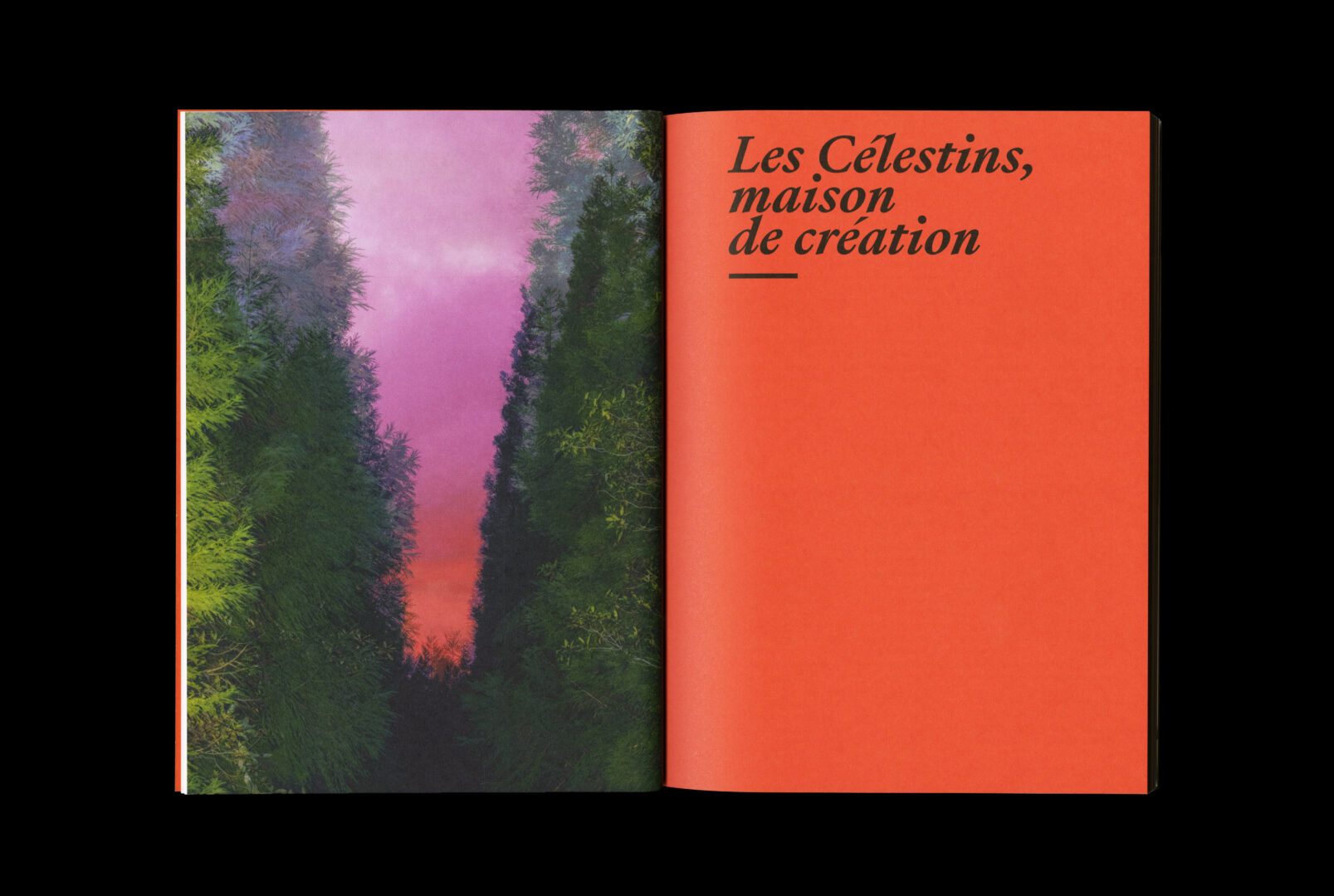 LES_CELESTINS_x_BELLEVILLE_S2627_4