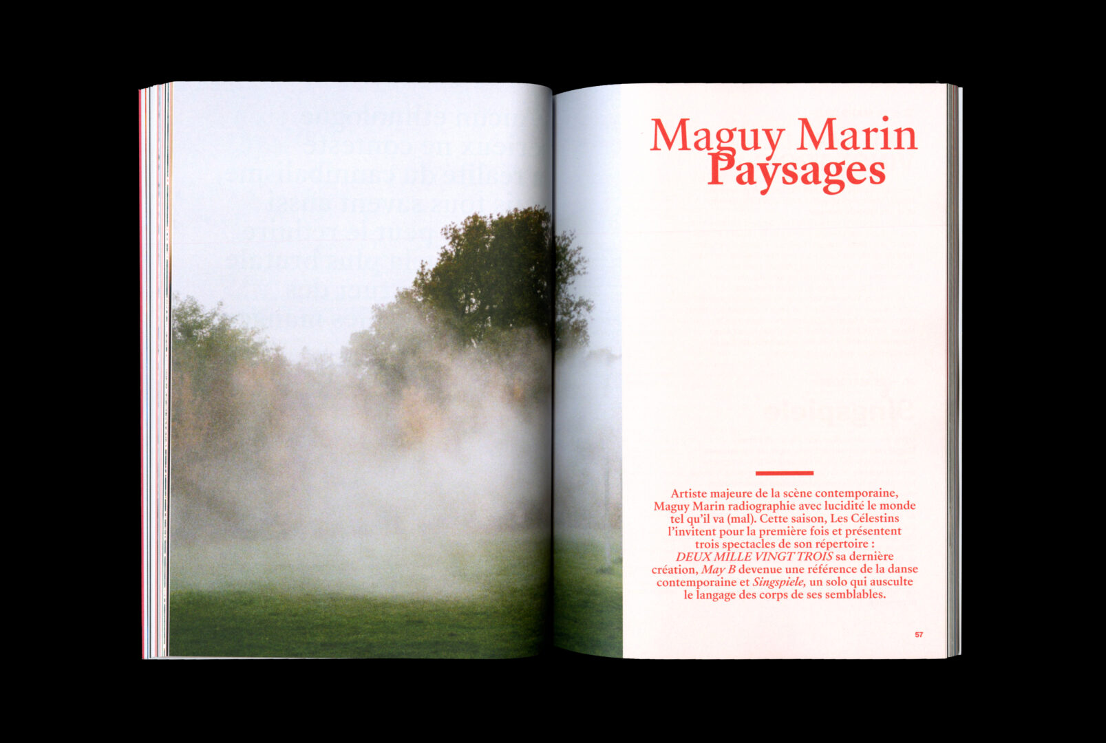 LES_CELESTINS_x_BELLEVILLE_maguymarin_HD